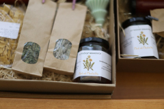 597886240_1306337664856018_2228448155466267012_n_1024x683