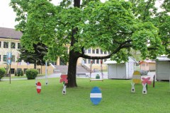 IMG_0350_1024x683