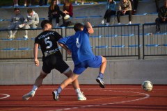 DSC_0088_1024x683