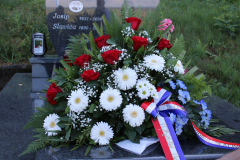 IMG_0462_1024x683