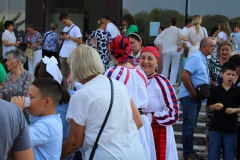 IMG_1146_1024x683