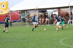 IMG_7603_1024x651