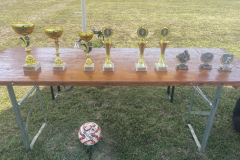 viber_slika_2025-08-17_07-19-19-570_1024x665 viber_slika_2025-08-17_07-19-19-570_1024x665