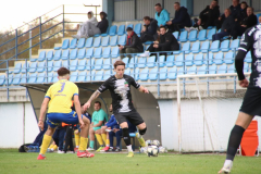 IMG_3103_1024x683