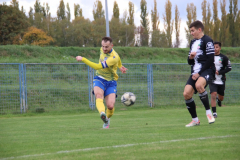 IMG_3130_1024x683