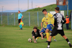IMG_3196_1024x683