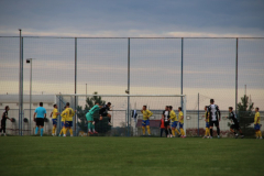 IMG_3238_1024x683