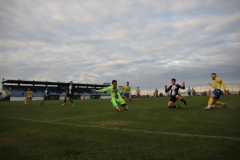 IMG_3275_1024x683