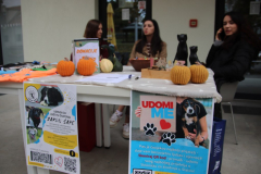 IMG_1712_1024x683