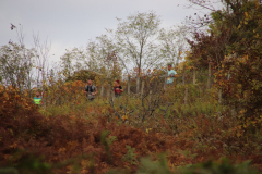 IMG_1963_1024x683
