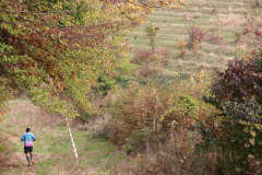 IMG_2674_1024x683
