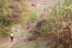 IMG_2691_1024x683