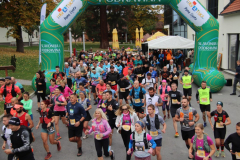 viber_slika_2025-10-18_15-13-46-240_1024x683