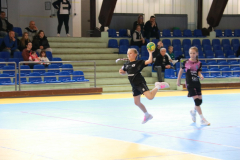 IMG_9659_1024x683