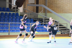 IMG_9667_1024x683