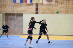 IMG_9677_1024x683