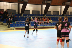 IMG_9727_1024x683