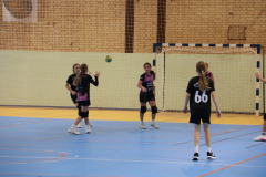 IMG_9729_1024x683