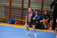 IMG_9761_1024x683