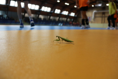 IMG_9767_1024x683