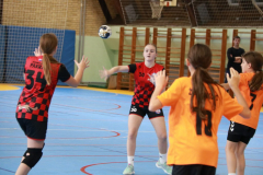 IMG_9779_1024x683