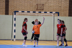 IMG_9790_1024x683