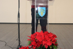 IMG_4010_535x768