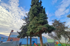 20251218_094832_1024x768