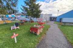 20251218_095044_1024x768