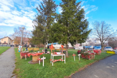 20251218_095058_1024x768