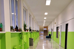 viber_image_2025-12-18_12-37-53-490