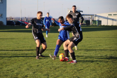 IMG_2130_1024x683