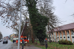 20260318_065352_1024x768