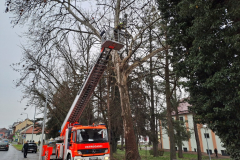 20260318_065406_1024x768