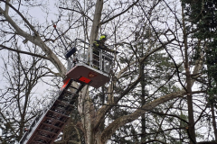 20260318_065413_1024x768