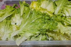 20260317_134037_1024x768