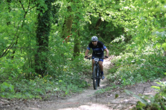IMG_7950_1024x683