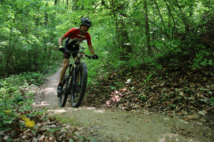 IMG_8066_1024x683