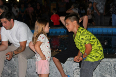 IMG_1196_1024x581