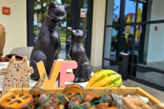 20251018_110038_1024x577