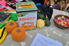 20251018_110147_1024x576