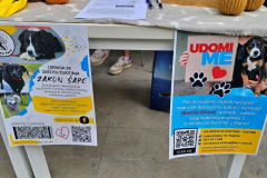 20251018_110224_1024x576