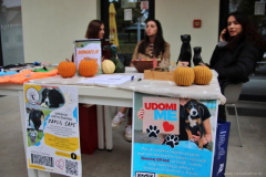 IMG_1712_1024x683_1024x683