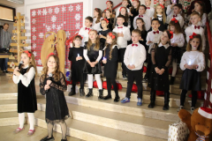 IMG_6260_1024x683