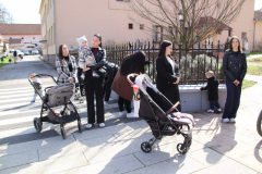 IMG_5891_1024x683