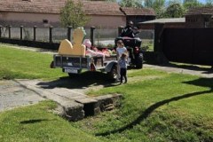 68472500-dcab-4c20-8999-68986378065a_355x768