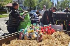 8ea4a2e6-6a4a-47c0-9e47-2af45d3046fa_1024x473