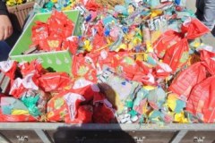 e85916c3-3c49-4053-8a96-9e70297e5e4a_355x768