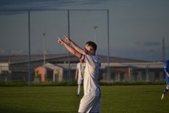 DSC_0200_1024x683