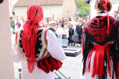 IMG_3324_1024x683
